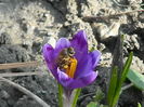 DSCN0366