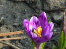 DSCN0412