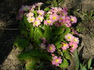 DSCN0418