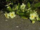 DSCN0422