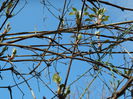 DSCN0457