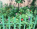 DSC00102
