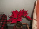 Picture 5535