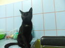 DSCF9196