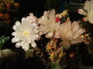 DSC08478