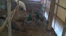 WP_20150310_010 M 2014 INELATI