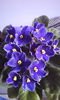 2015-03-01 12.46.36