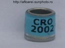 cro 2002