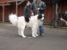 DSCN0039