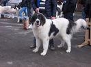DSCN0052