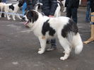 DSCN0053