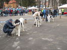 DSCN0070