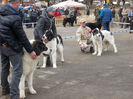 DSCN0072