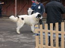 DSCN0074