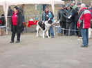 DSCN0075