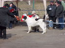 DSCN0081