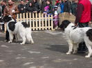 DSCN0084
