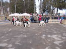 DSCN0086