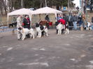 DSCN0087