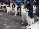 DSCN0096