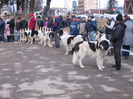 DSCN0105