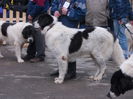 DSCN0107
