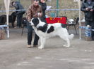 DSCN0124