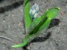 DSCN0605