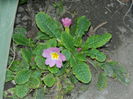 DSCN0614