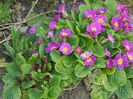 DSCN0615