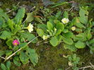 DSCN0617