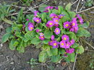 DSCN0619