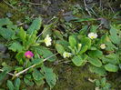 DSCN0620