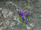 DSCN0621