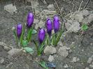DSCN0623
