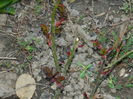 DSCN0624