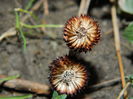 DSCN0626
