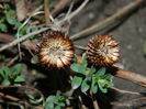 DSCN0627