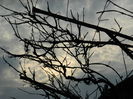 DSCN0631