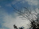 DSCN0641