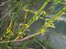 DSCN0642