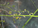 DSCN0643