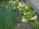 DSCN0647