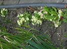 DSCN0648