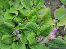 DSCN0649