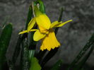 DSCN0653