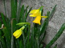 DSCN0654