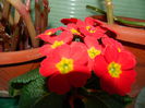 DSCN0658