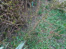 DSCN0660