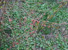 DSCN0662